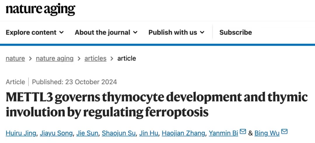 METTL3调控铁死亡：揭示胸腺退化的分子机制与潜在治疗策略