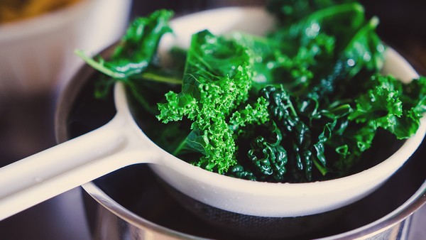 寄生虫感染的药物选择