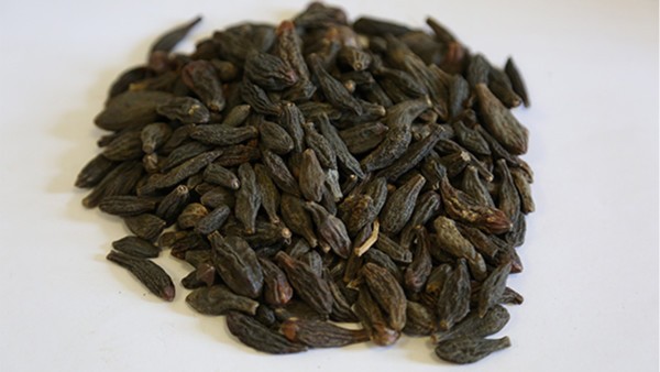 骨髓增生异常综合症的免疫调节药物