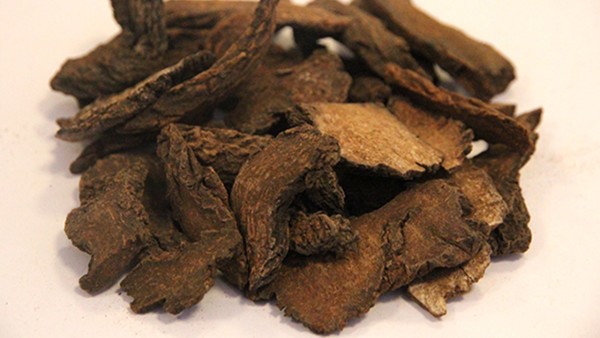 鼻红粒病会遗传吗