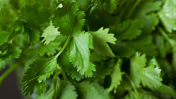 岔气的常见发作时间