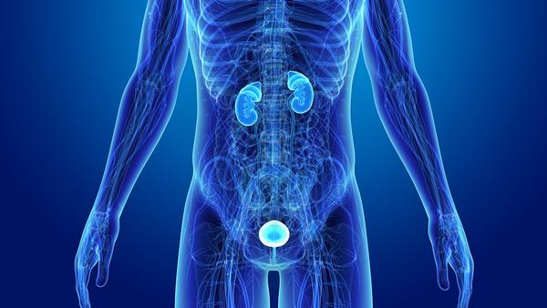 胰腺内分泌肿瘤的病理检查