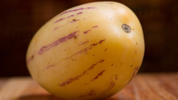 尖锐湿疣传染给伴侣的概率