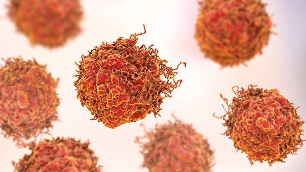 止血药物的种类和作用