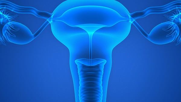 树突状细胞瘤的复发率