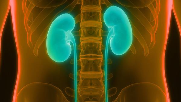 骨折多久可以恢复正常活动