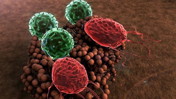 细菌感染如何正确使用药物