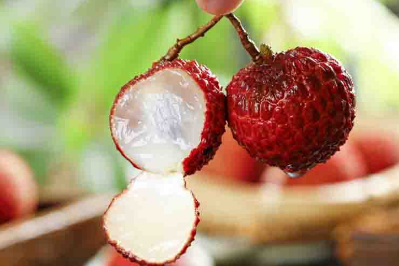 荔枝为何“甜蜜陷阱”？谨防“荔枝病”低血糖危及生命