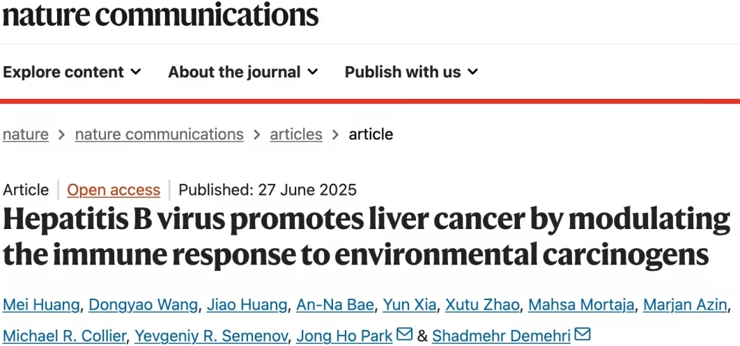 哈佛新发现：乙肝病毒本身或不致癌，但会增强致癌物促炎作用