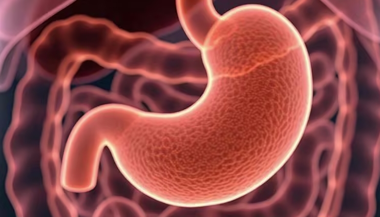 全球胃癌发病率预测：2008-2017年出生人群将面临1560万新发病例