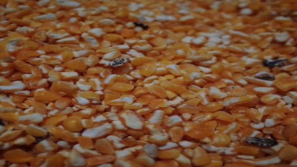 庞贝氏病的诊断方法