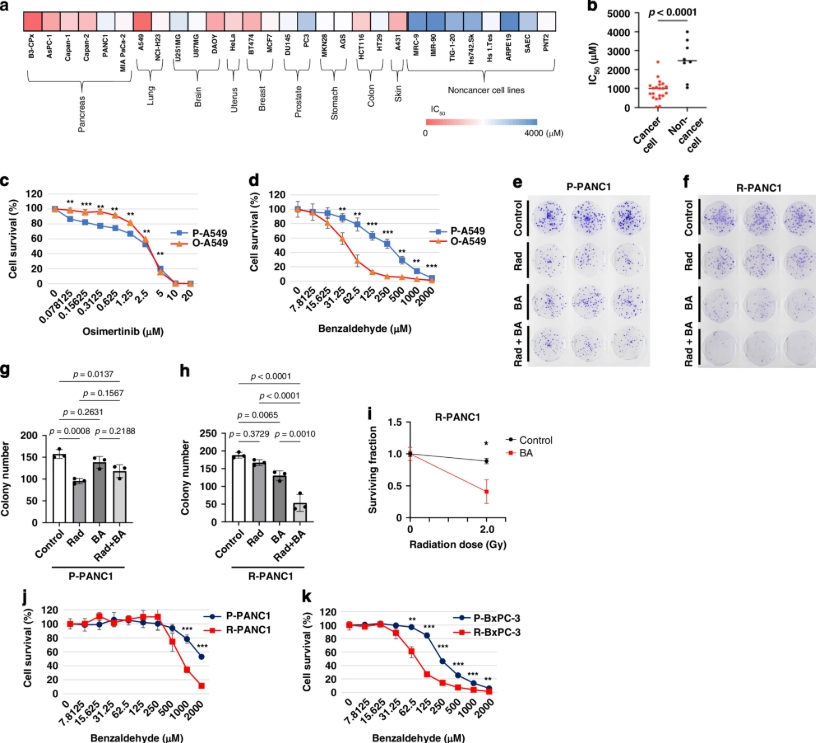 天然产物的抗癌密码：苯甲醛可能阻断胰腺癌扩散和耐药