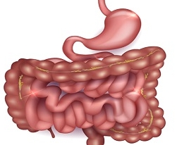 研究发现：早期粪便免疫化学检测（FIT）筛查显著降低结直肠癌发病率和死亡率