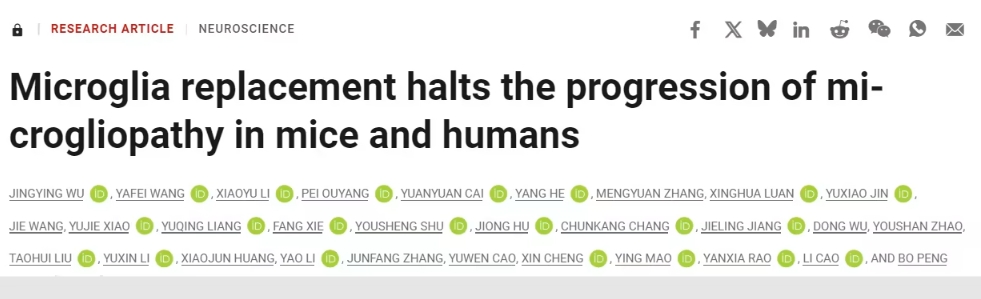 重磅！复旦大学团队在《科学》发表突破性研究，为致命罕见脑病ALSP带来治疗希望