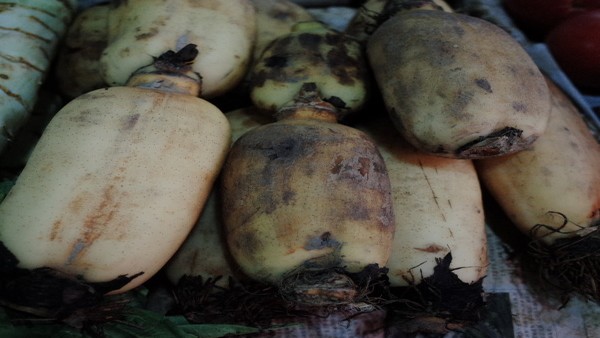 胃食管反流性疾病的H2受体拮抗剂