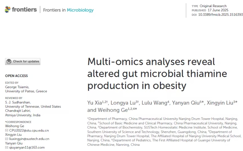 肠道“维生素B1工厂”与肥胖的关系：一项新研究揭示了微生物的重要性