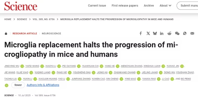 重启大脑免疫系统：革命性疗法为致命脑白质病带来新希望