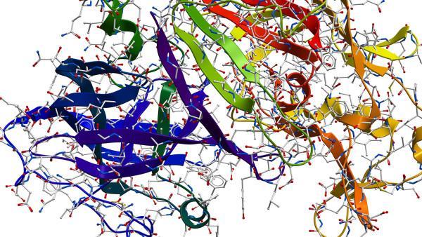家族性地中海发热能否生育孩子