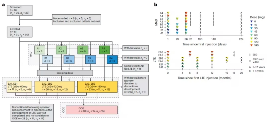 罗氏小核酸药物初战告捷：天使综合征治疗迈出关键一步