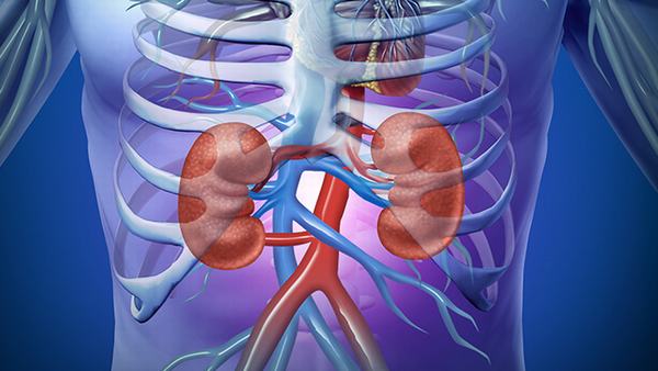 胶质瘤的抗癌药物效果