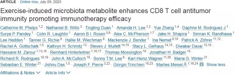 运动通过促进肠道细菌生成甲酸，提高免疫疗法抗癌效果