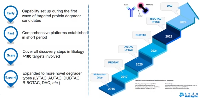 靶向蛋白降解疗法：突破传统药物局限，开启疾病治疗新篇章