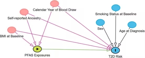 西奈山研究发现“永久性化学物质”或增2型糖尿病风险