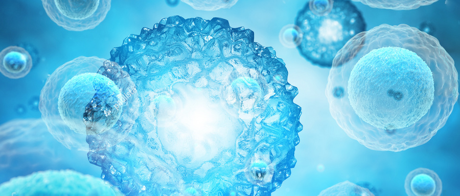 恒润达生CAR-T新药雷尼基奥仑赛注射液获批，国产免疫治疗迈入全新阶段