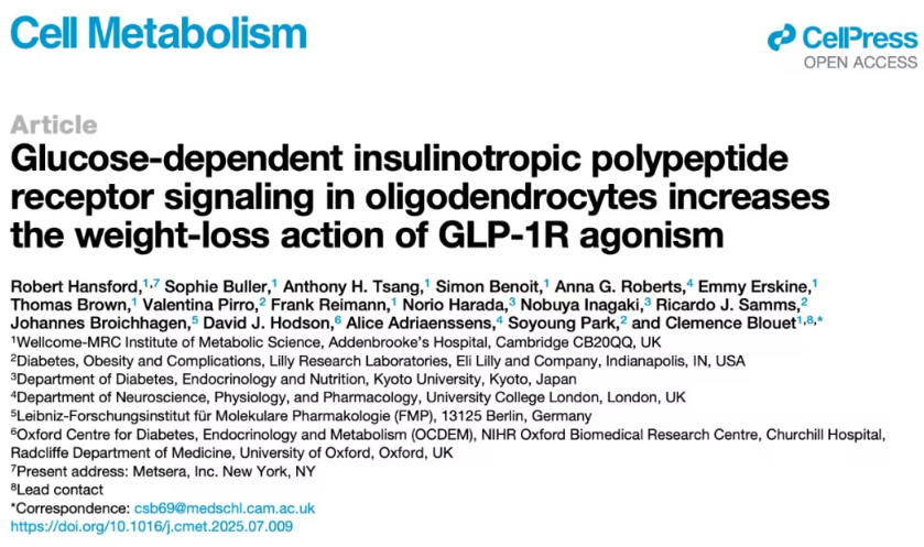 GIPR与GLP-1R协同作用机制揭示：少突胶质细胞在减肥疗法中的关键作用