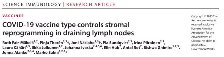COVID-19疫苗如何重塑淋巴结微环境？研究揭示疫苗诱导免疫反应的“幕后故事”