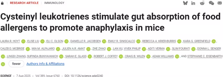FDA批准药物齐留通在动物实验中显著抑制食物过敏反应