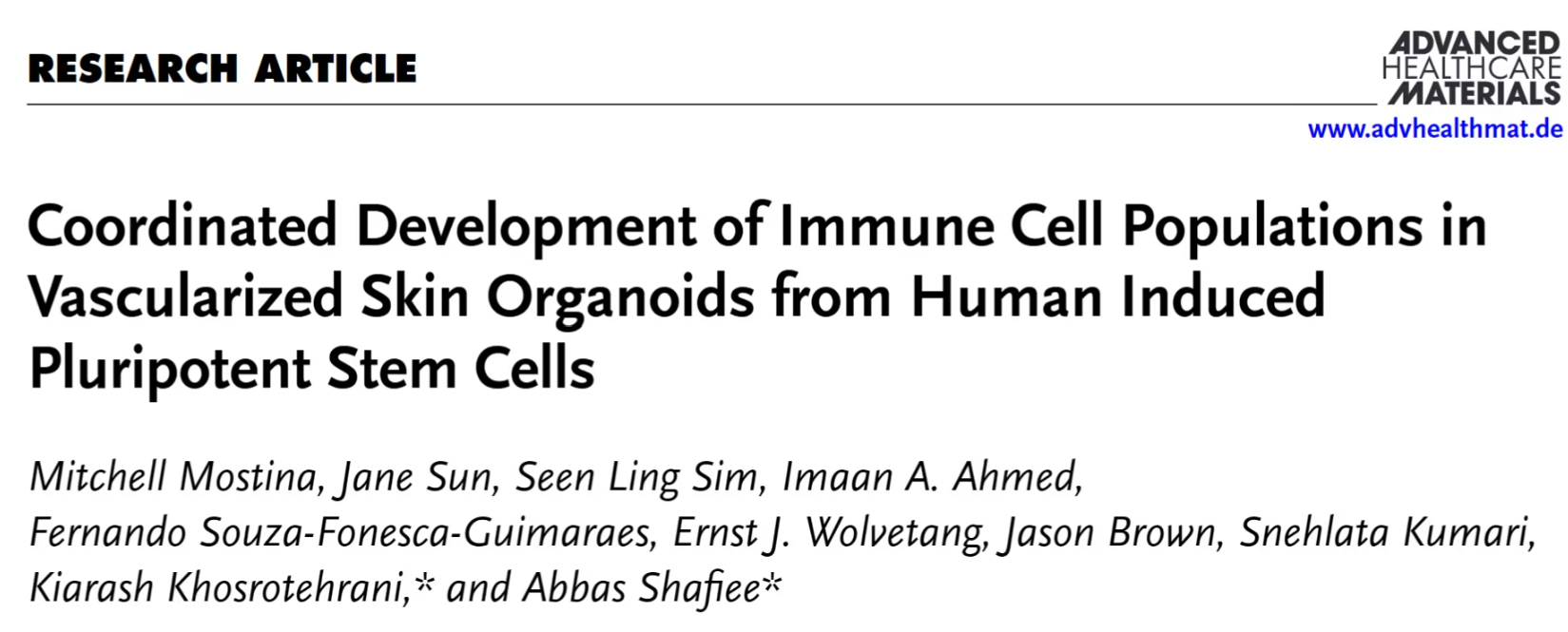 重大突破：血管化皮肤类器官成功构建，模拟人体皮肤新平台