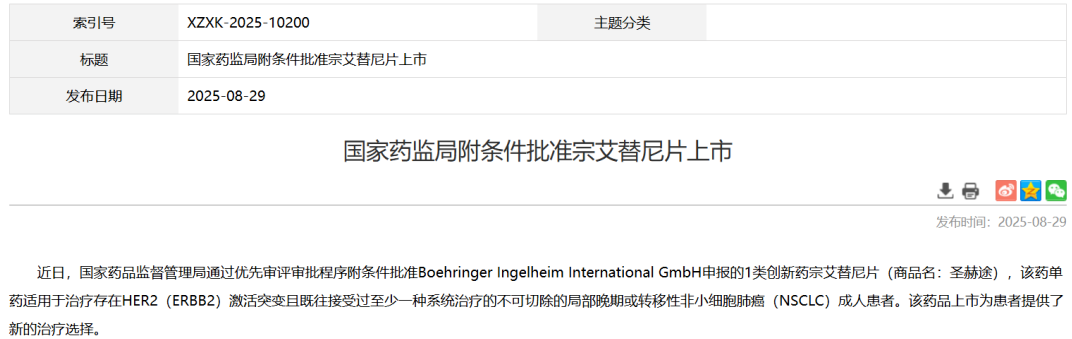 全球首个HER2靶向药：宗艾替尼正式获批，为晚期非小细胞肺癌患者带来新希望