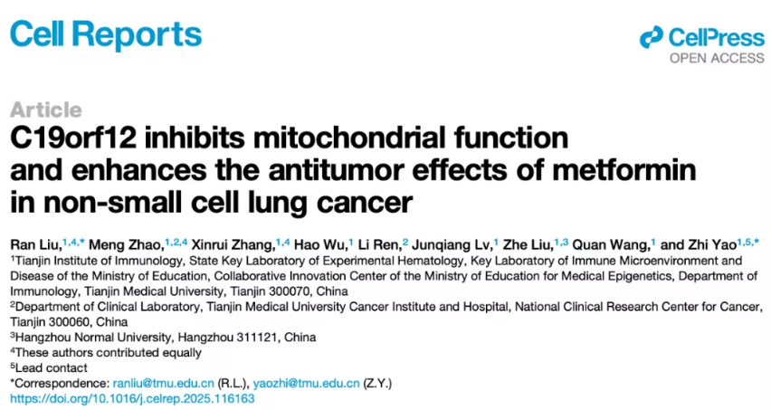 新发现！C19orf12基因可增强二甲双胍对非小细胞肺癌的抗肿瘤作用