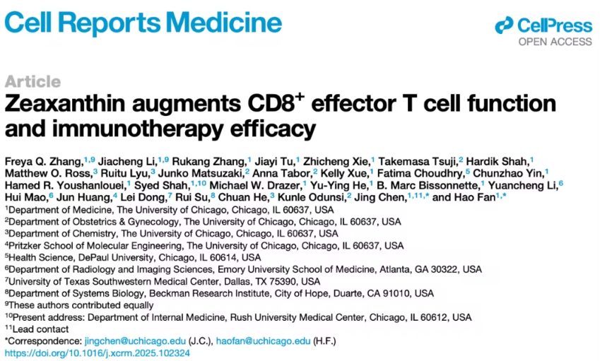 玉米黄素被发现可增强CD8+T细胞功能，助力肿瘤免疫治疗