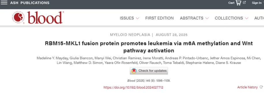 AMKL发病机制新发现：RNA修饰与Wnt信号通路成关键