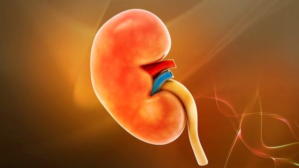 红斑痤疮的减少皮肤刺激