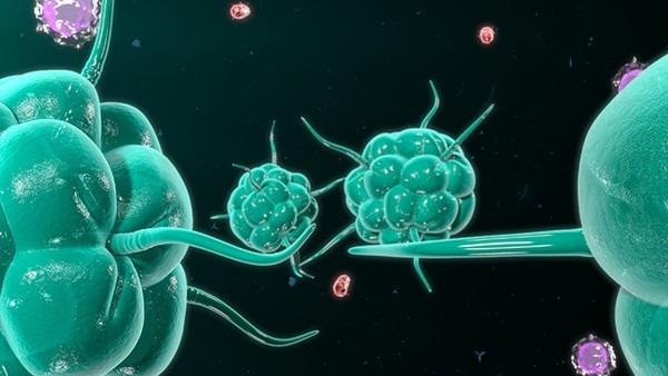 绒毛膜癌的早期诊断方法