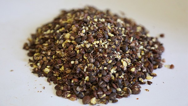 动脉粥样硬化与糖尿病的关系