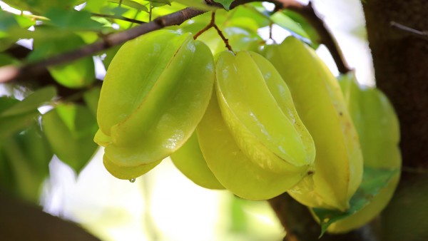 咽肌麻痹如何控制病情