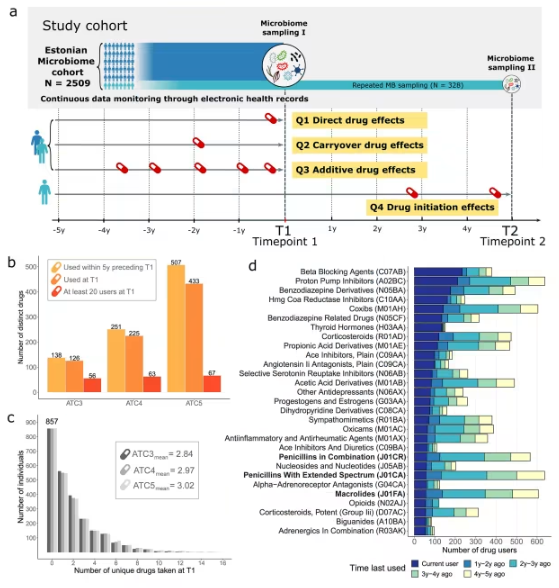 药物使用对肠道菌群长期影响研究揭示健康隐患