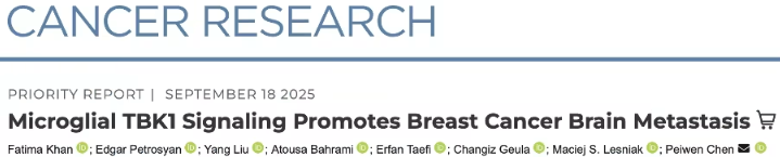 小胶质细胞TBK1信号通路促进乳腺癌脑转移：克利夫兰诊所研究揭示新机制