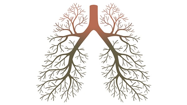 中风的长时间卧床对身体的影响