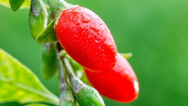 如何判断自己是否患有肥胖症？