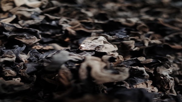 尿毒症综合征的治疗费用