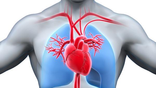 结肠癌能不能根治