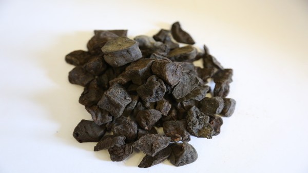 黄斑病的遗传因素