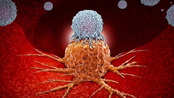 高磷血症与骨质疏松症的关系