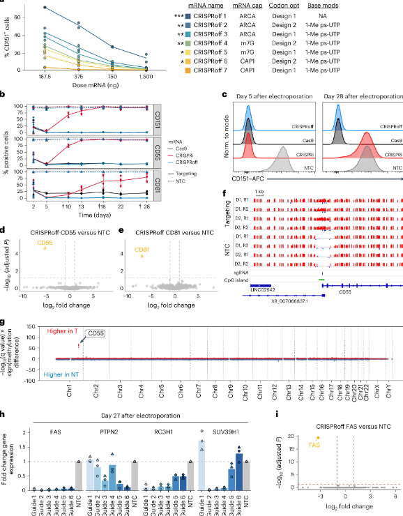 Nature Biotechnology重磅突破：科学家开发“表观遗传编程”CAR-T，让免疫细胞不再疲惫作战
