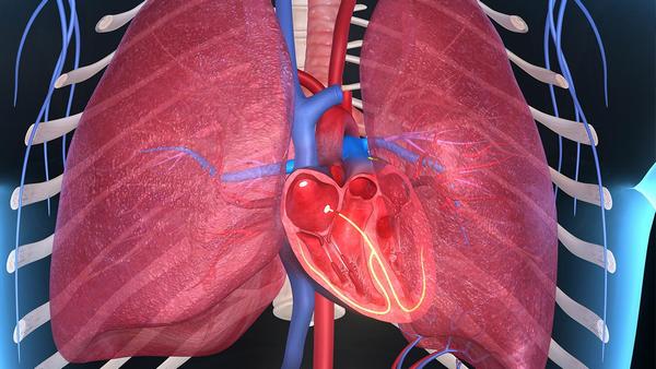 庞贝氏病遗传咨询